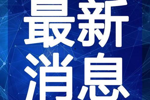 网友爆料抢鞋视频大全最新,抢鞋大战视频合集，揭秘疯狂抢购瞬间